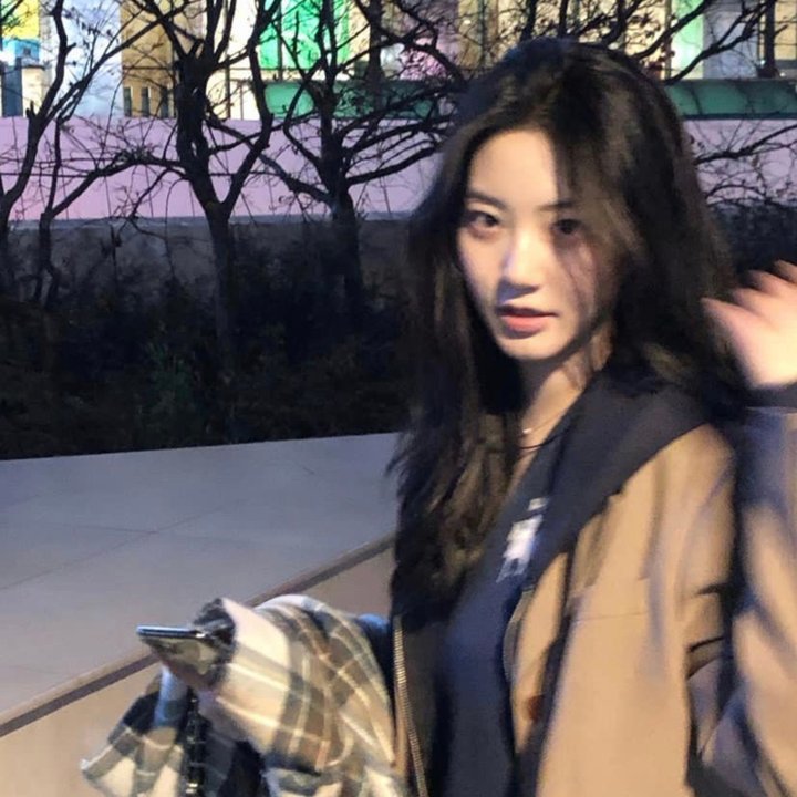 故乡面·参花情